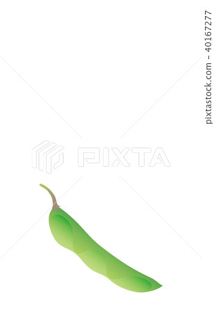 蔬菜綠色大豆 40167277