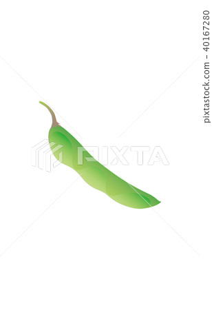 蔬菜綠色大豆 40167280