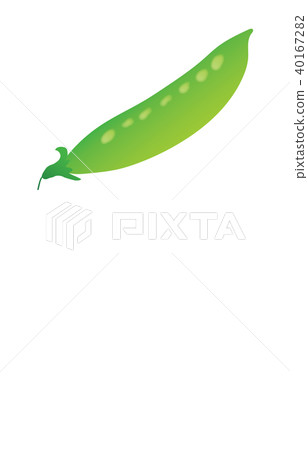 菜豆沙 菜豆沙 40167282
