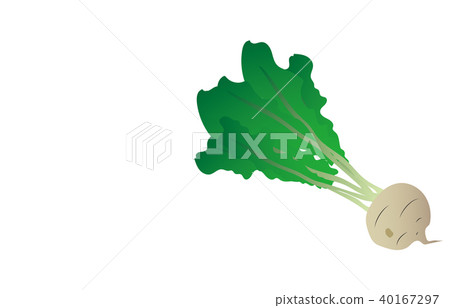 蔬菜蘿蔔 蔬菜蘿蔔 40167297
