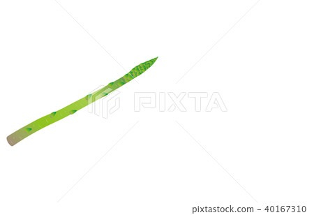 蔬菜蘆筍 蔬菜蘆筍 40167310