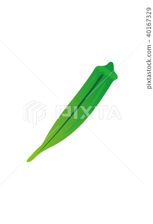 蔬菜秋葵 蔬菜秋葵 40167329
