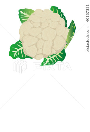 Vegetable cauliflower 40167331