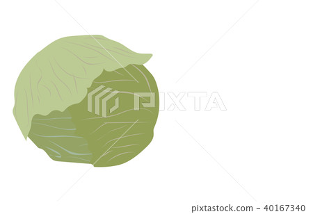 蔬菜白菜 蔬菜白菜 40167340