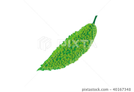 蔬菜苦瓜 蔬菜苦瓜 40167348