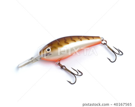 Lure crankbait 40167565