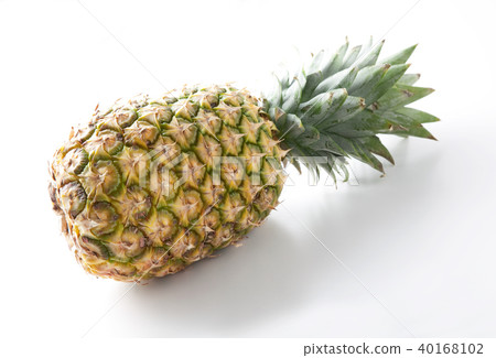 pineapple pineapple 40168102