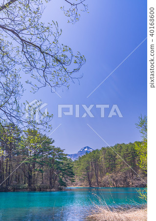Fukushima/Urabandai Gokininuma Bishamonuma and Bandaisan 40168600