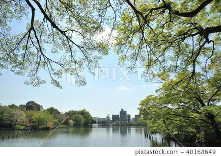 Shimosuke Park 40168649