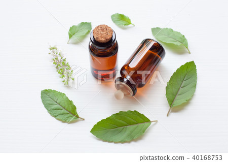 Holy basil essential oil with leaves. Holy basil essential oil with leaves. 40168753