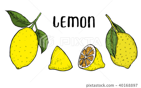 lime or lemon set. lime or lemon set. 40168897