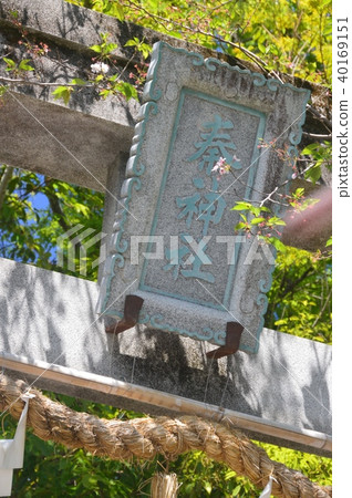 The Godhead, Torii, and Shimenova of Kashiwa Shrine (Kochi Mayor Hama, Kochi) 40169151