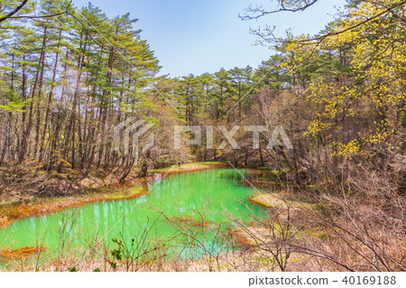 Fukushima/Ura-Bandai Goshikinuma Akanuma Fukushima/Ura-Bandai Goshikinuma Akanuma 40169188