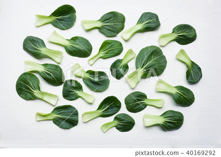 Bok choy on white . Bok choy on white . 40169292
