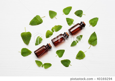 A bottle of melissa lemon balm essential oil. A bottle of melissa lemon balm essential oil. 40169294