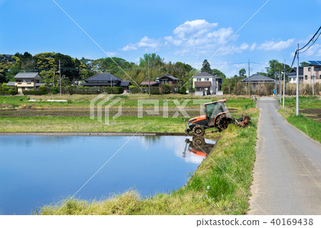 Preparation for rice planting Preparation for rice planting 40169438