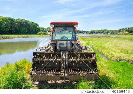Preparation for rice planting 40169443