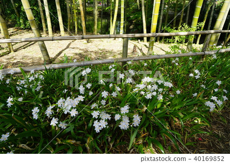 等到薩沙 40169852