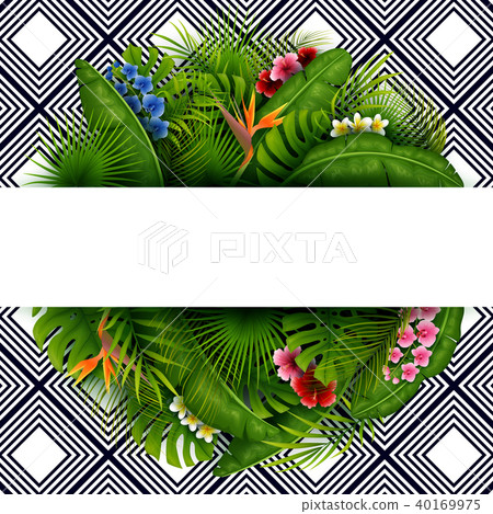 Green summer with tropical leaves and flowers 40169975