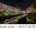 Toyama / Matsukawa night cherry blossoms 40171078
