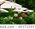 Button flower 40171593