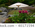 Button flower 40171594