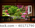 Azalea flower 40171790