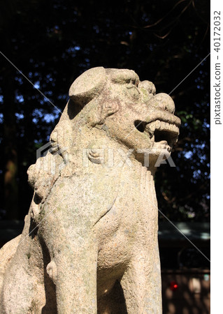 從Hayaya Shrine笑Shiba Inu 40172032