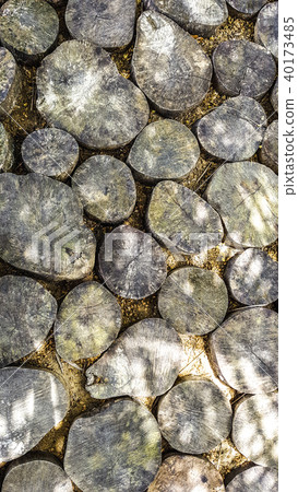 Sidewalk of chopped logs  wooden stumps 40173485