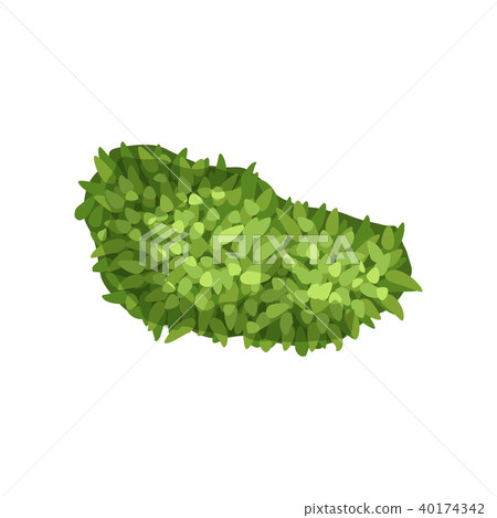 Plant, landscape natural design element, top view vector Illustration on a white background 40174342