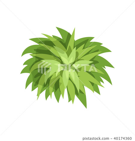 Summer green plant, landscape natural design element, top view vector Illustration on a white 40174360