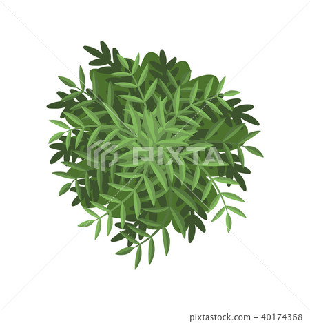 Green bush, landscape design element, top view vector Illustration on a white background Green bush, landscape design element, top view vector Illustration on a white background 40174368