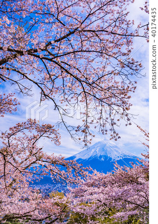 Fujimi Takedoku公園的富士山 40174435