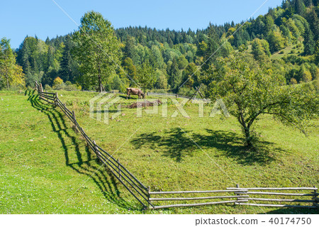 Village landscape with fence 40174750