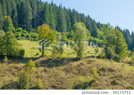 Village landscape with fence 40174751