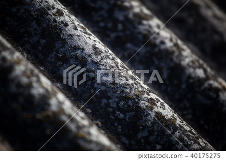 Moss on the roof slate close-up. Texture of a full-fledged roof with a slate. Moss on the roof slate close-up. Texture of a full-fledged roof with a slate. 40175275