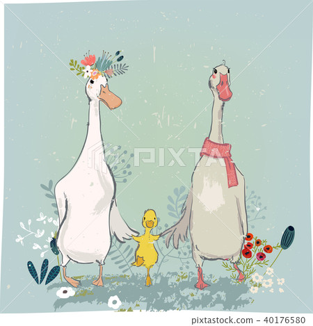 set with cute farm birds 40176580