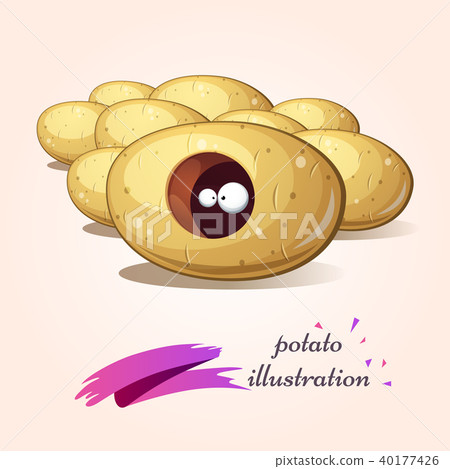Cartoon characters potato. Cute, funny illustration. Cartoon characters potato. Cute, funny illustration. 40177426
