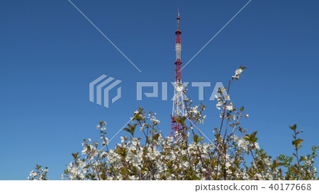 A television tower against the blue sky 40177668