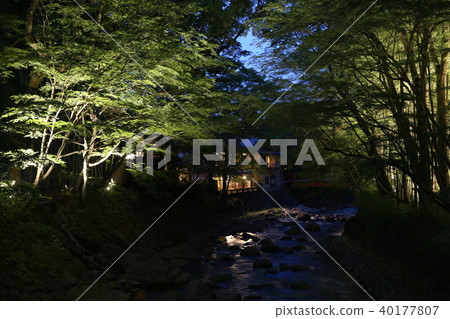 修善寺勝川 40177807