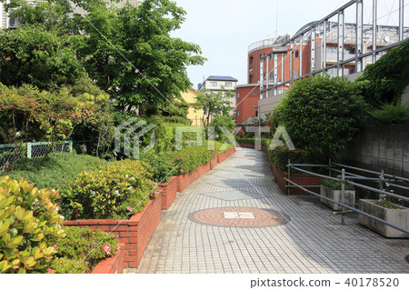 桃園河綠道(中野區) 桃園河綠道(中野區) 40178520