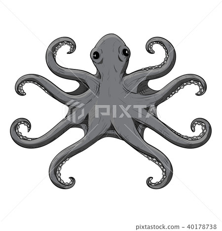 Octopus with symmetric tentacles. Gray hand drawn sketch 40178738