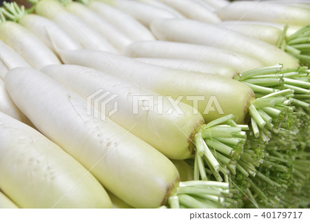 Japanese radish Japanese radish 40179717