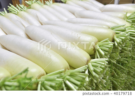Japanese radish Japanese radish 40179718