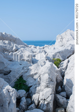 白崎海岸(和歌山縣) 白崎海岸(和歌山縣) 40179720