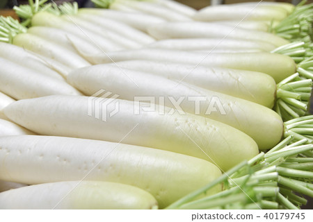 Japanese radish Japanese radish 40179745