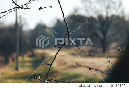 Rural road. 40180151