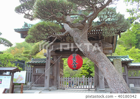 Haseji Temple Sanmon Kamakura Haseji Temple Sanmon Kamakura 40180342