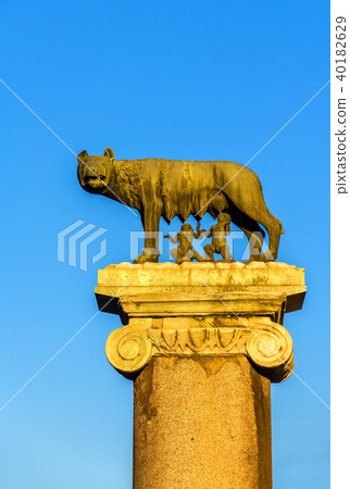 Capitoline Wolf statue in Rome, Italy 40182629