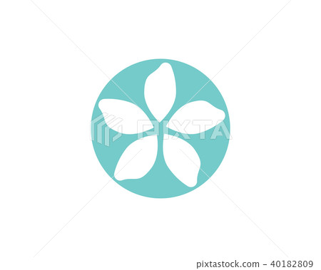 Jasmine Flower Icon Vector Illustration Design Ornamental Petal